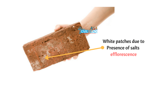 efflorescence in bricks