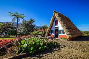 Thatch as a Building Material